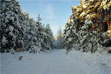 《战国王朝》PC正式版将于11月推出 主机版明年发行